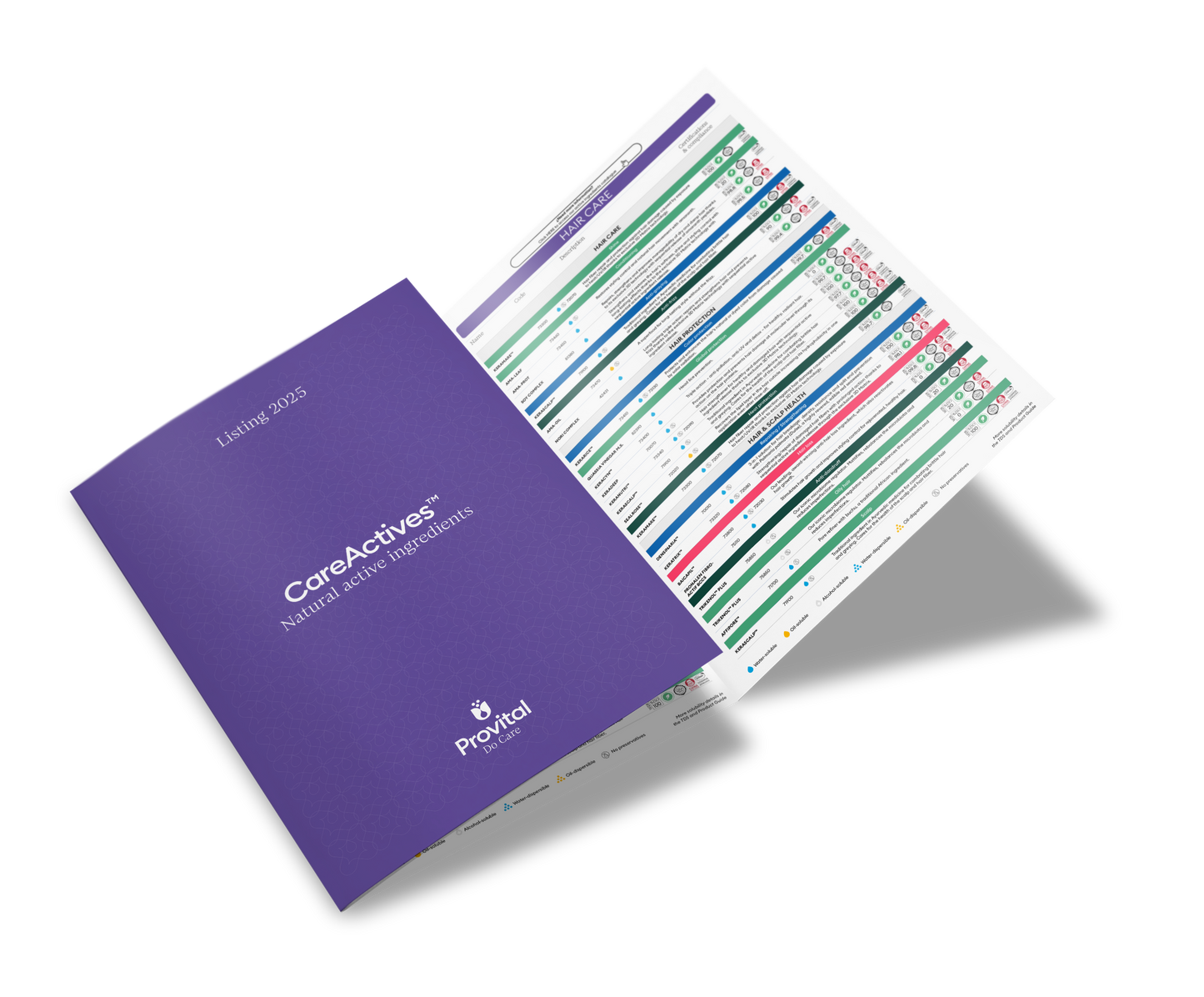 CAREACTIVES™ QUICK GUIDE 2026 - PROVITAL (ENGLISH)