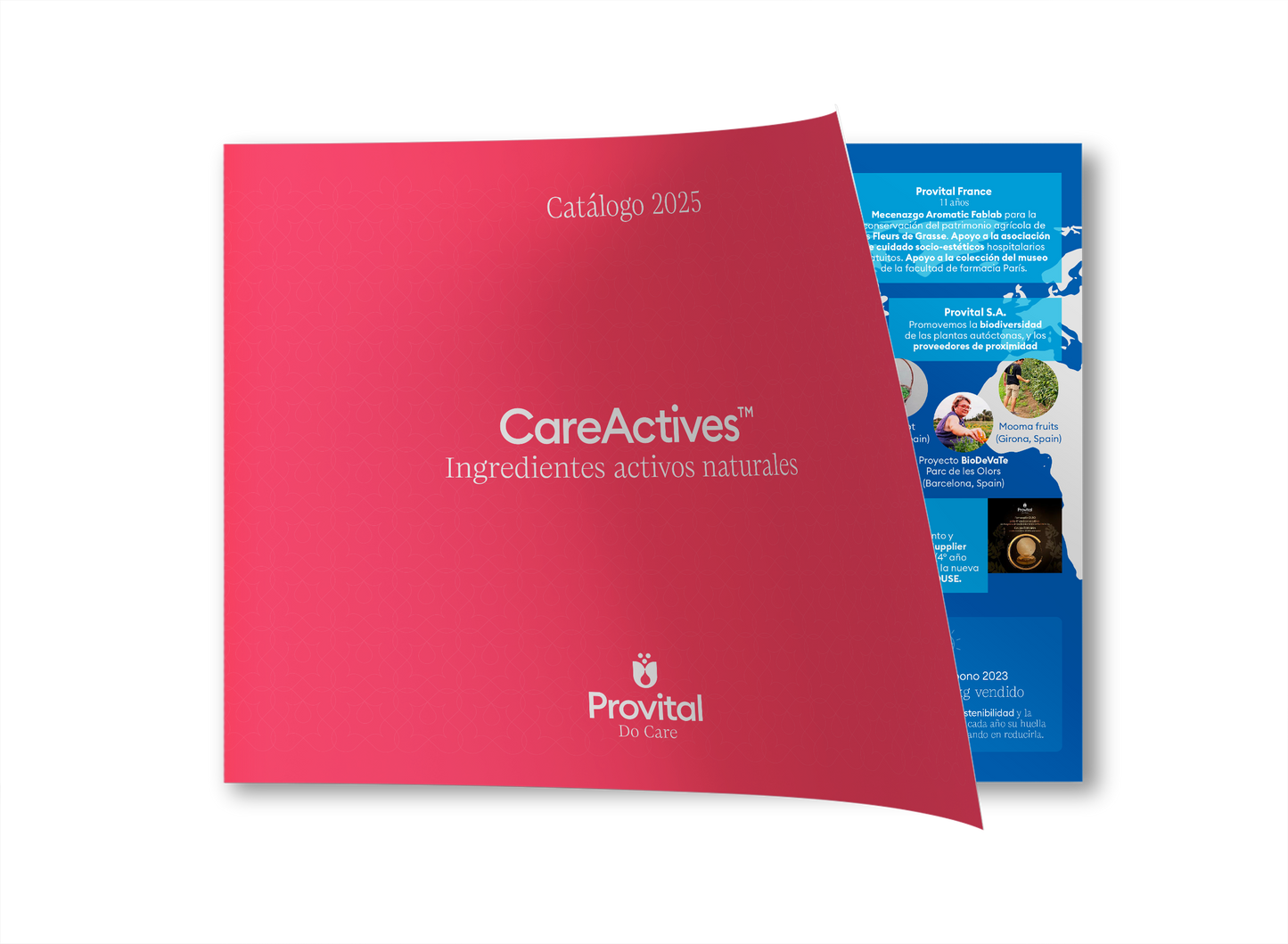 CATÁLOGO CAREACTIVES™ 2026 - PROVITAL (ESPAÑOL)