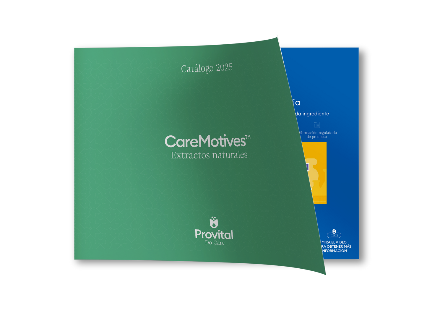 CAREMOTIVES™ CATALOGUE 2026 - PROVITAL (SPANISH)
